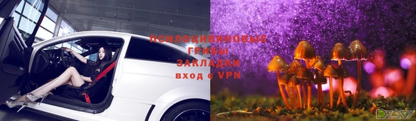 крисы Горнозаводск