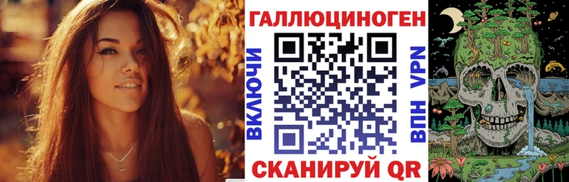 Псилоцибиновые грибы Psilocybe  Купить закладки  Шарья 